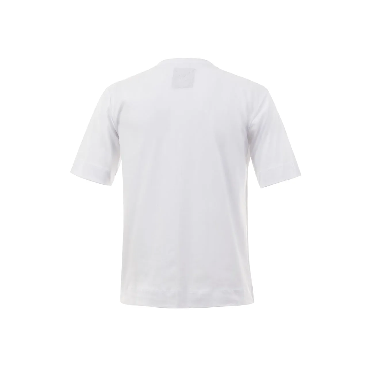 Ανδρικό T-shirt Κοντομάνικο Oversized 842-9