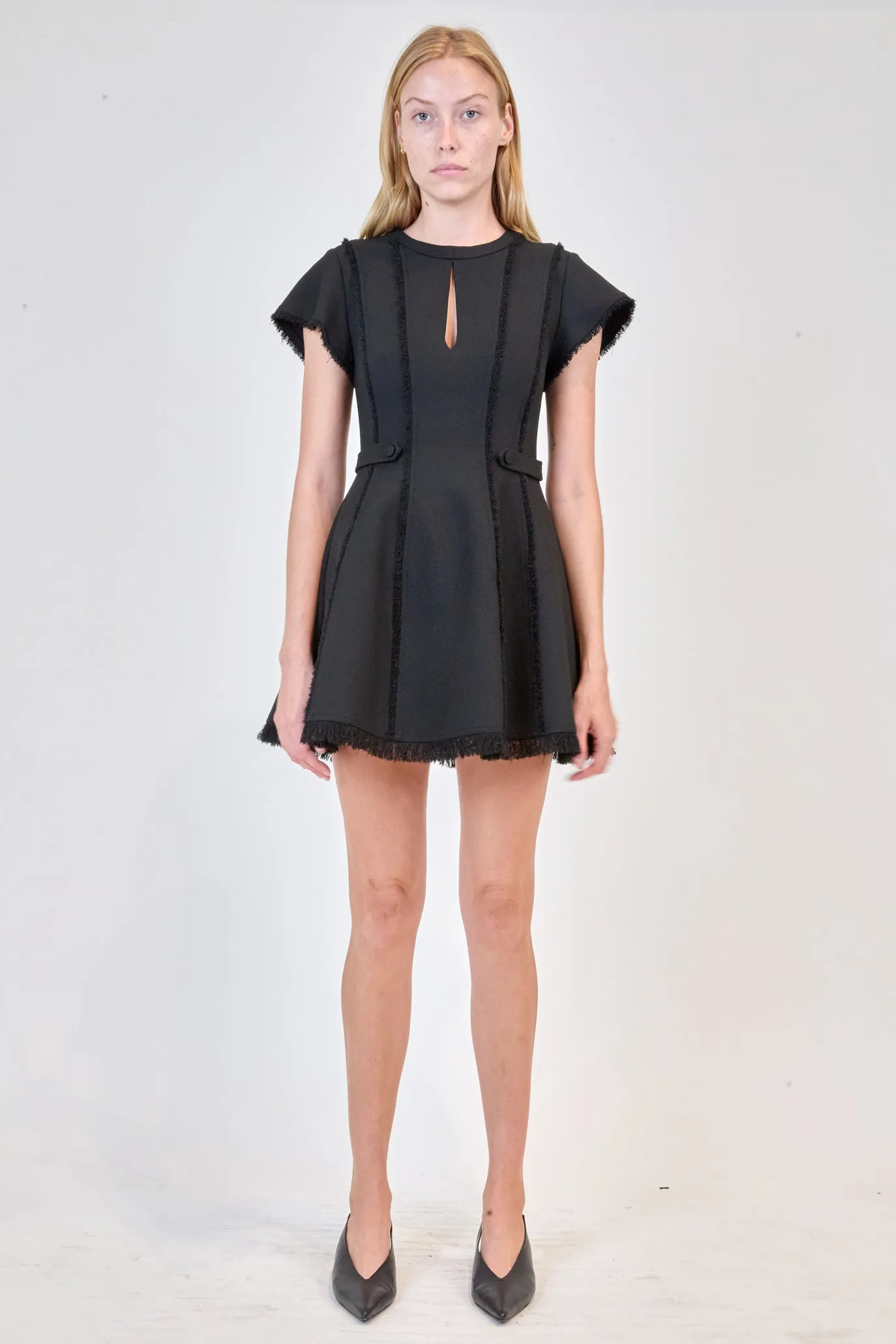 Anielle Mini Dress in Black