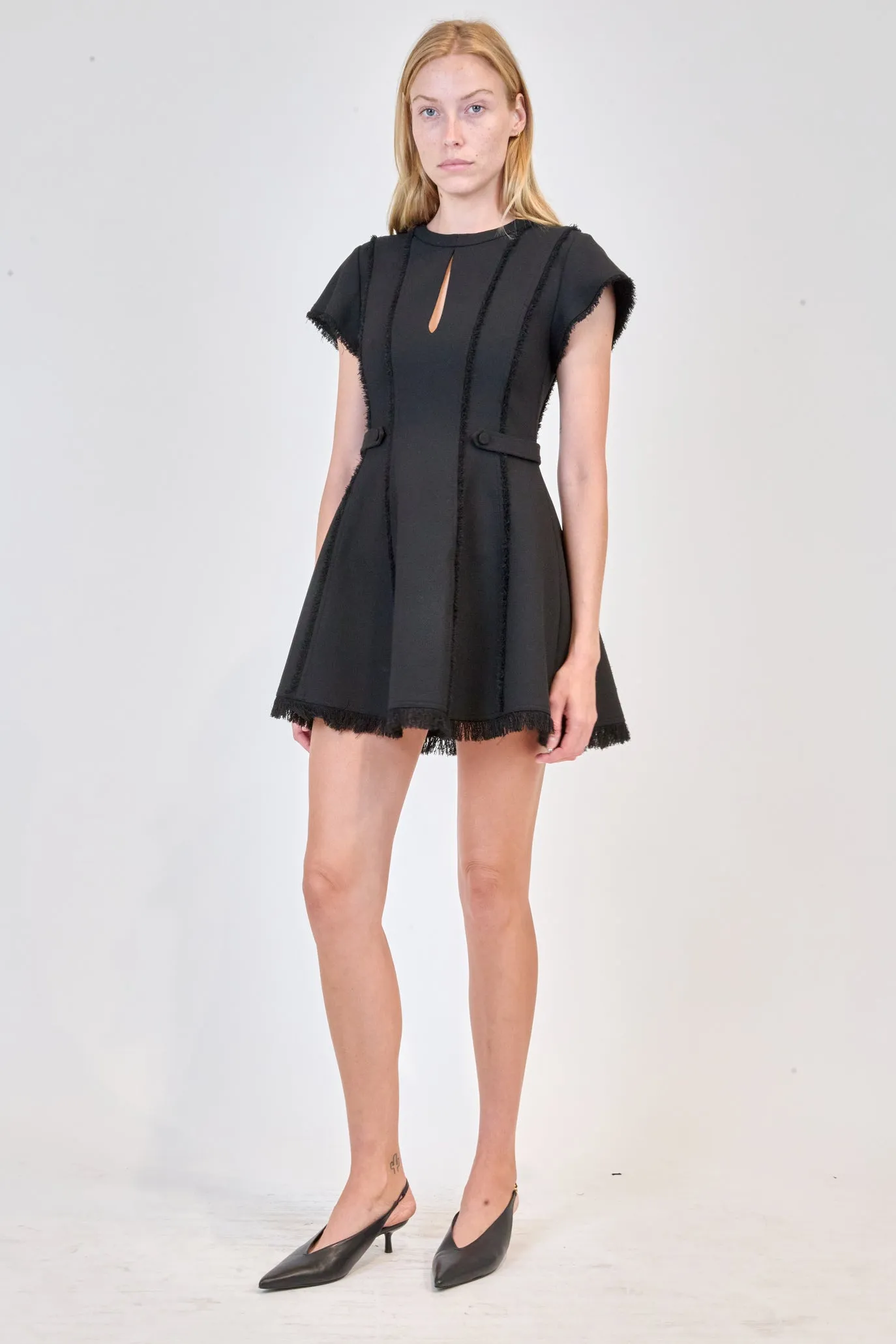 Anielle Mini Dress in Black