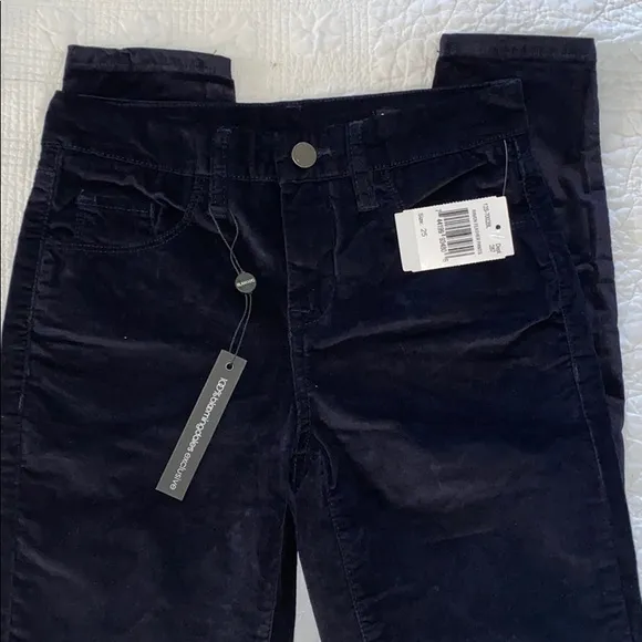 BLANKNYC Denim Velour Skinny Jeans Size 25