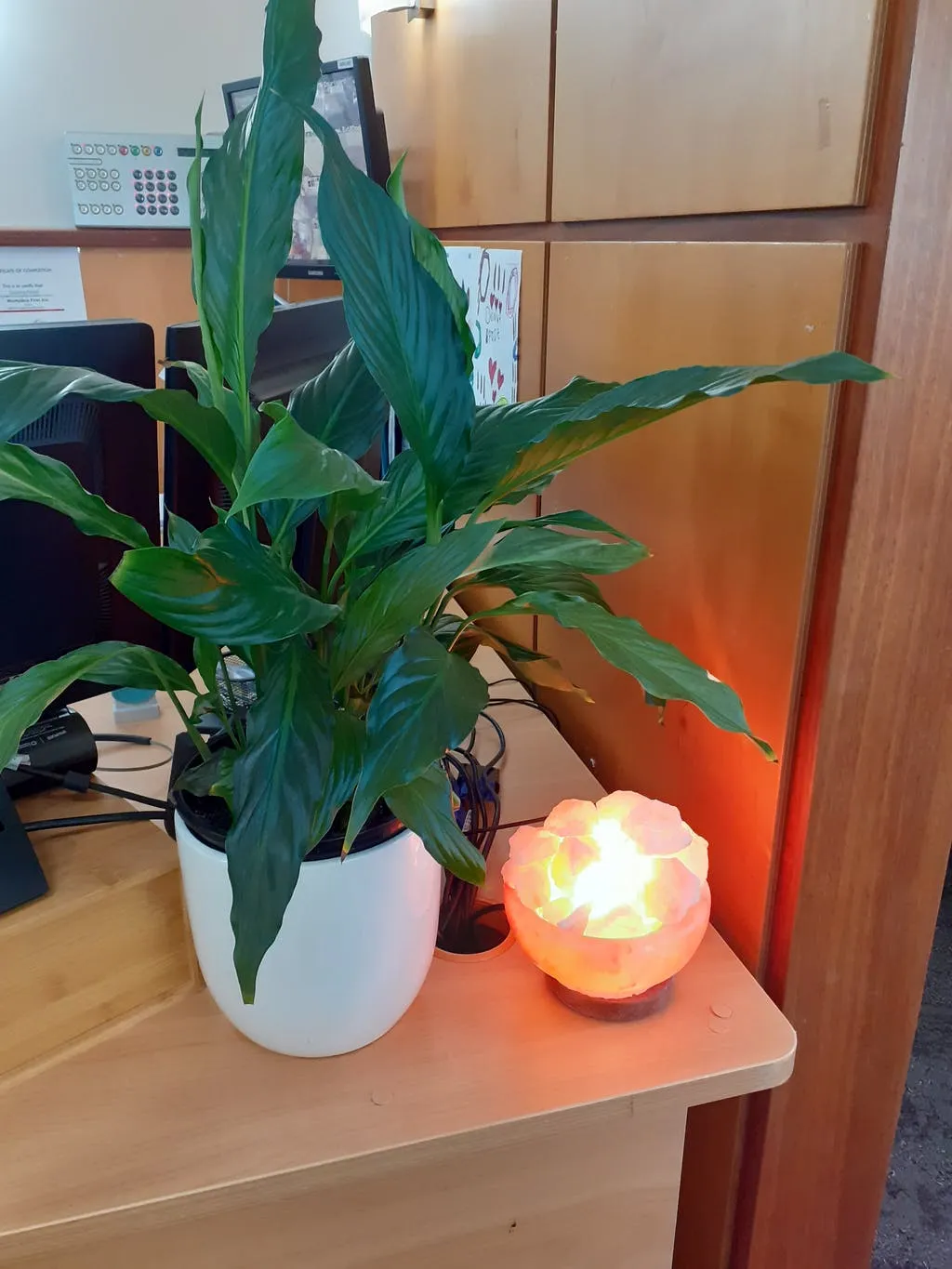 Carved Himalayan Salt Lamp Bowl
