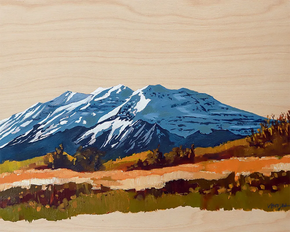 Graphic Timp