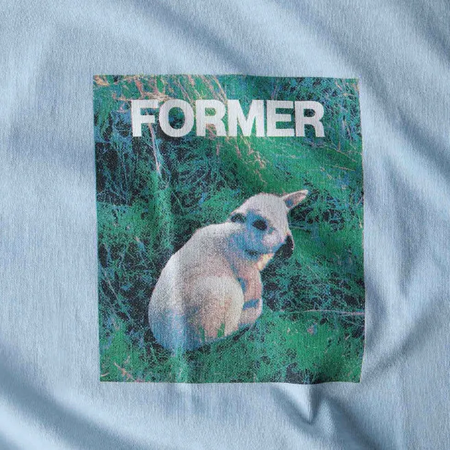 Innocence T-shirt Mist