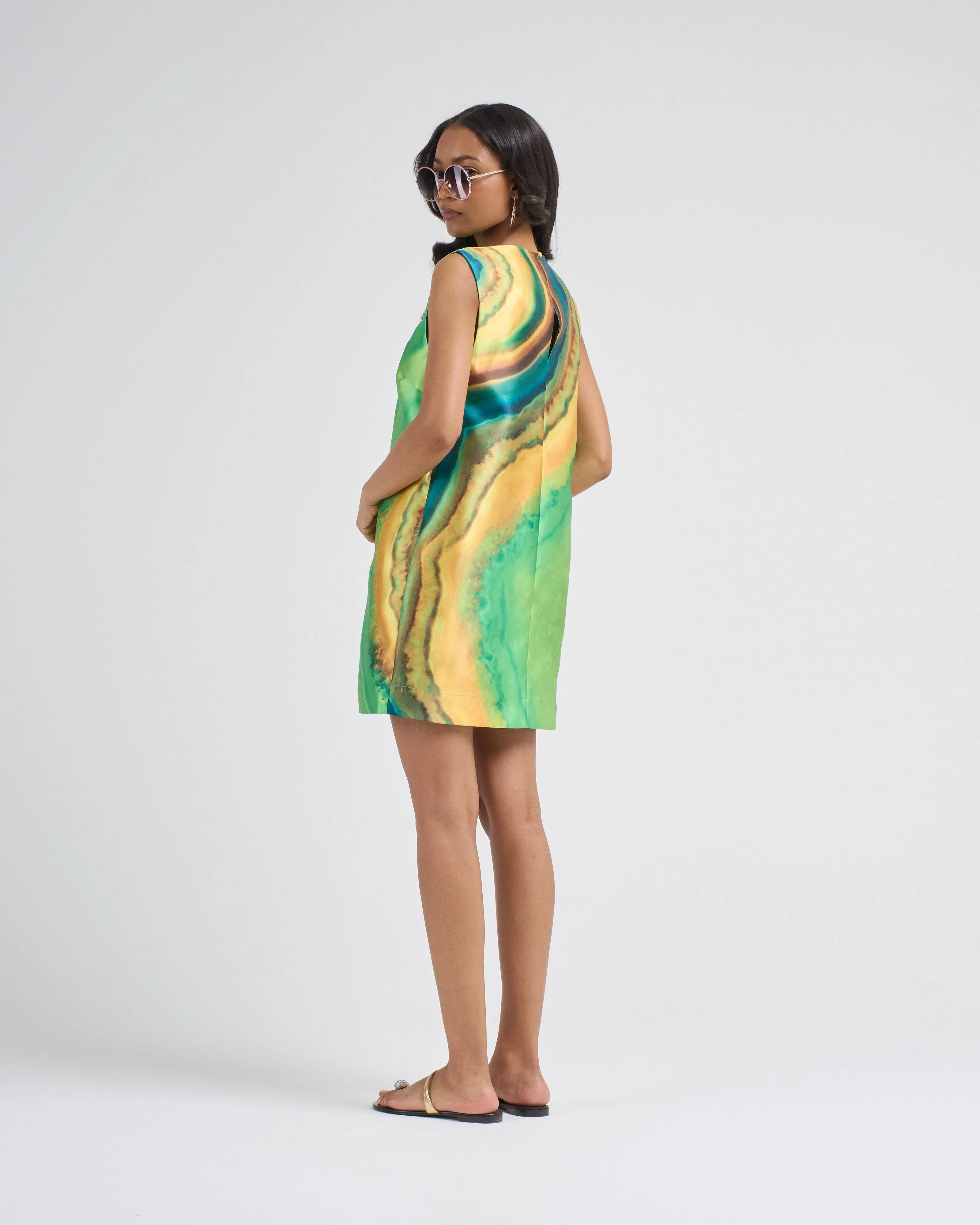 iris mini dress
