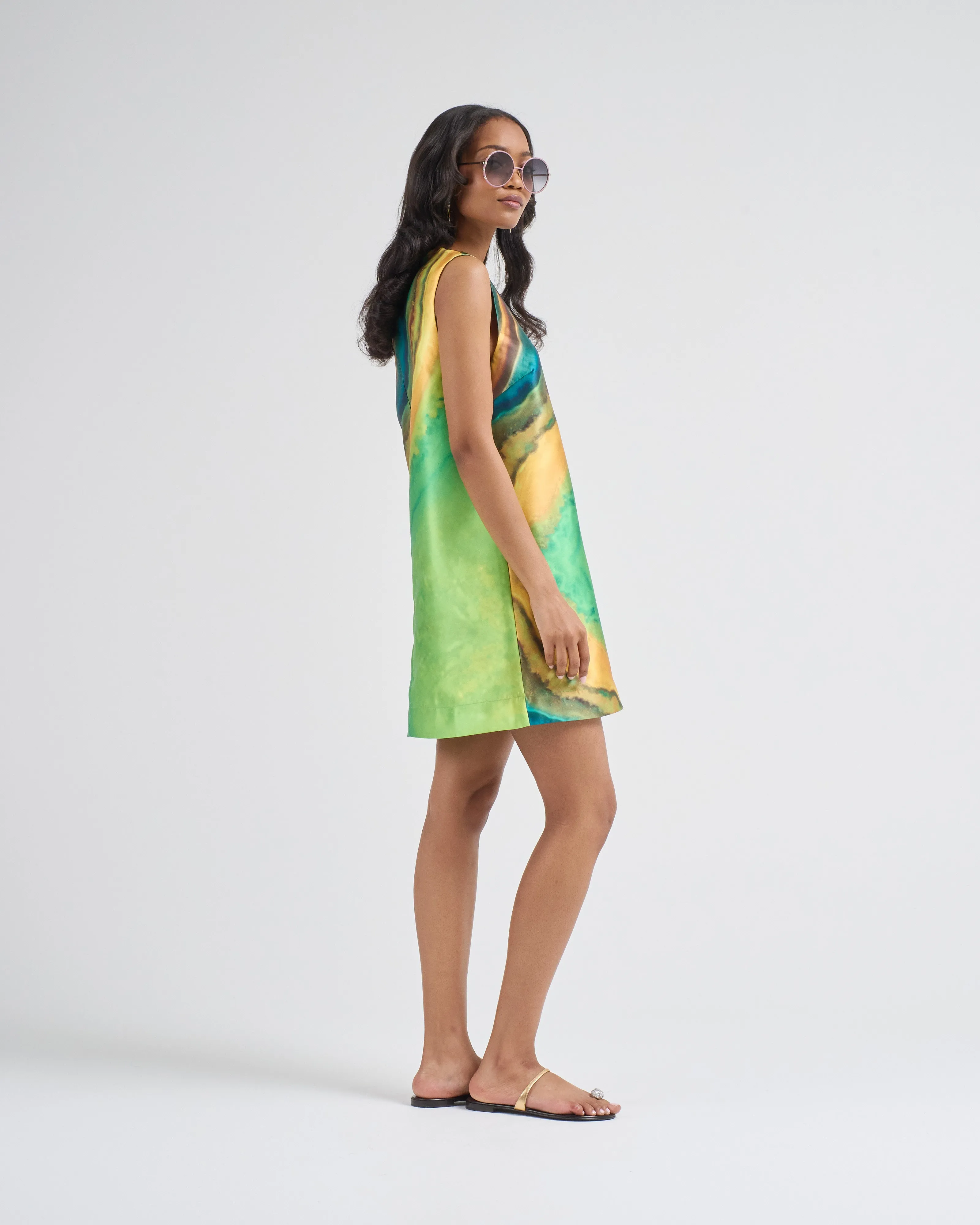 iris mini dress