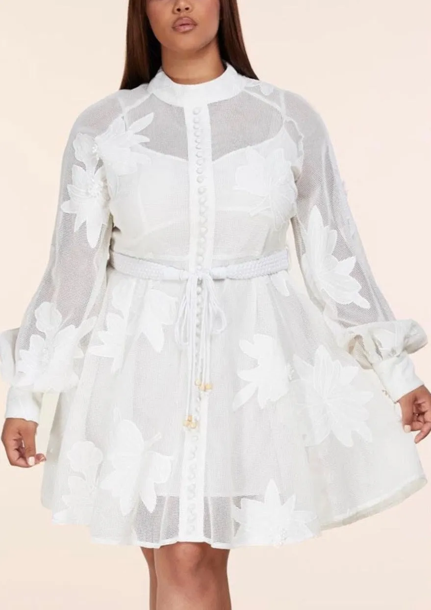 "AMELIA" LONG SLEEVE MINI DRESS (PLUS SIZE)