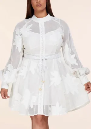 "AMELIA" LONG SLEEVE MINI DRESS (PLUS SIZE)