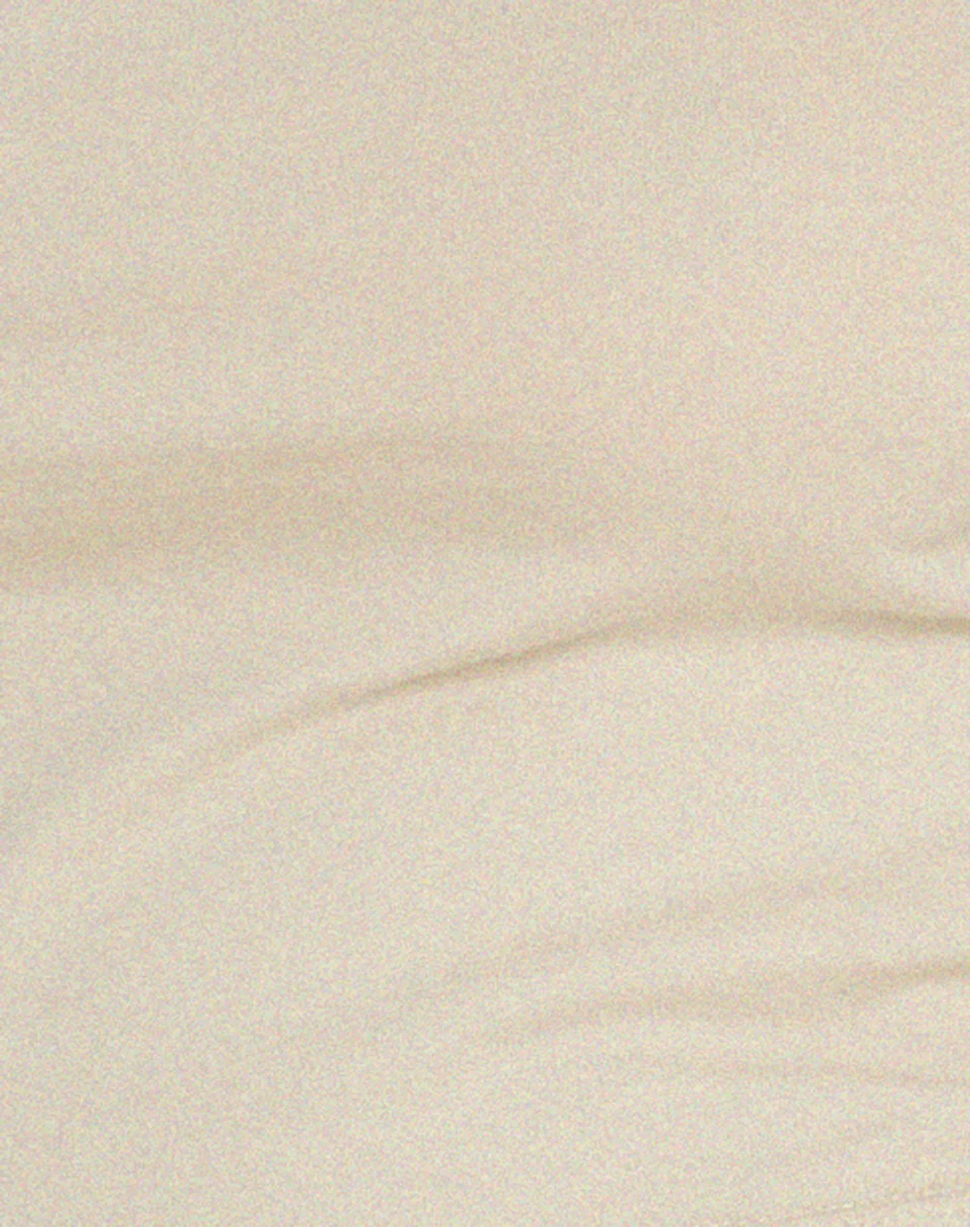 Raccet Long Sleeve Crop Top in Coconut Milk