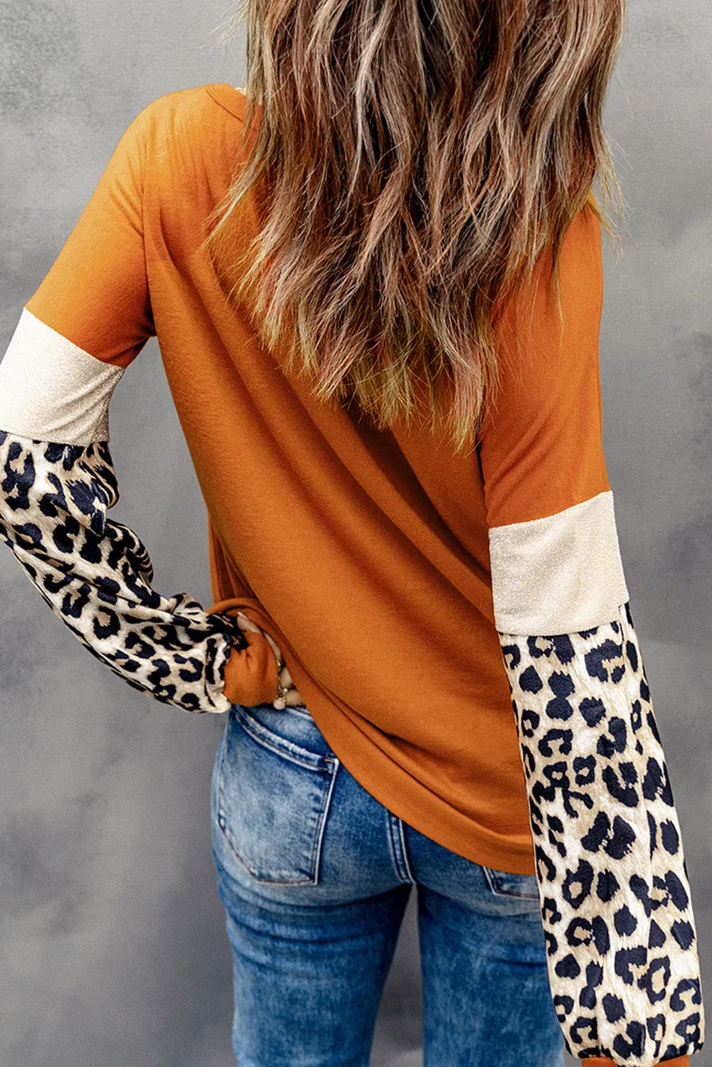 Round Neck Leopard Print Long Sleeve Top