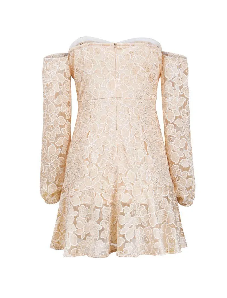 Small Dress Backless Sexy Lace Dress